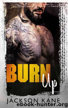 Burn Up (Steel Veins Book 2) by Jackson Kane