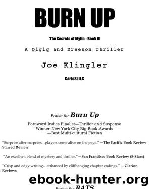 Burn Up by Joe Klingler