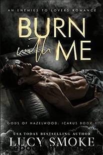 Burn With Me: A Contemporary Icarus Retelling (Gods of Hazelwood: Icarus Book 1) by Lucy Smoke