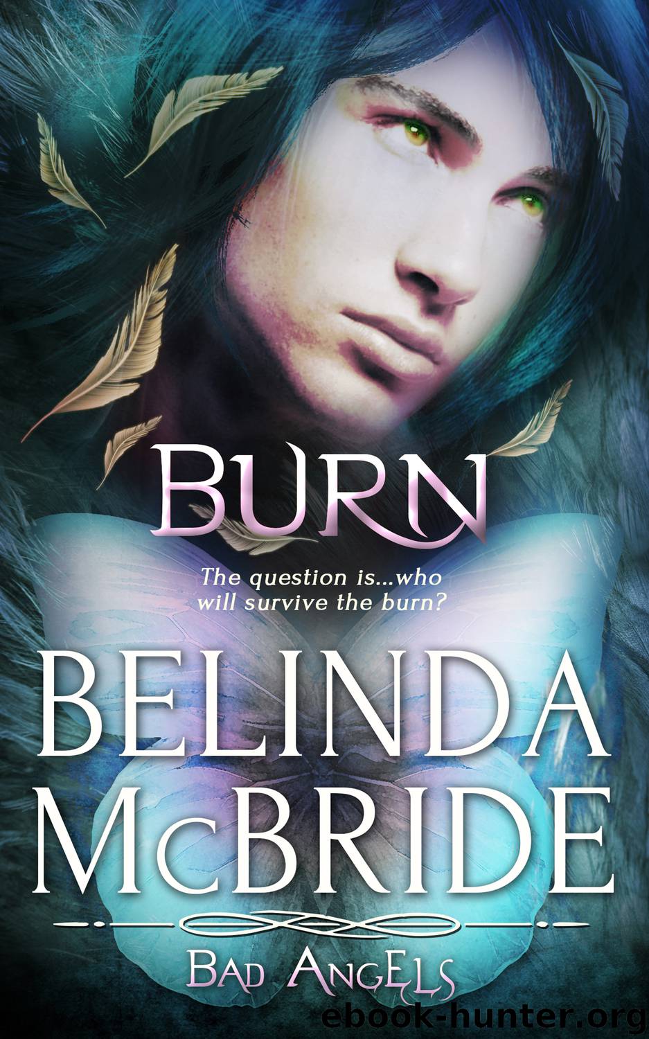 Burn by Belinda McBride