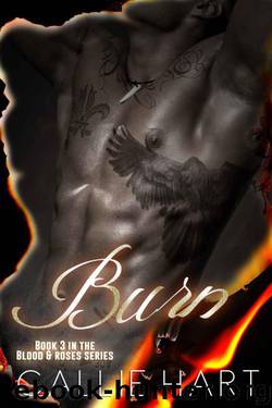Burn by Callie Hart