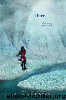 Burn by Elissa Sussman