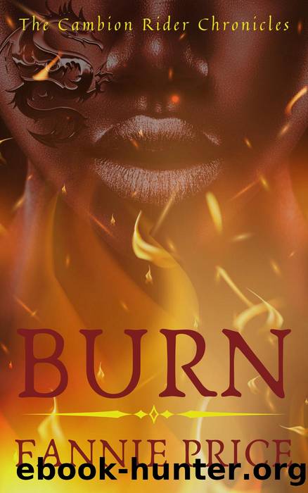 Burn by Fannie Price