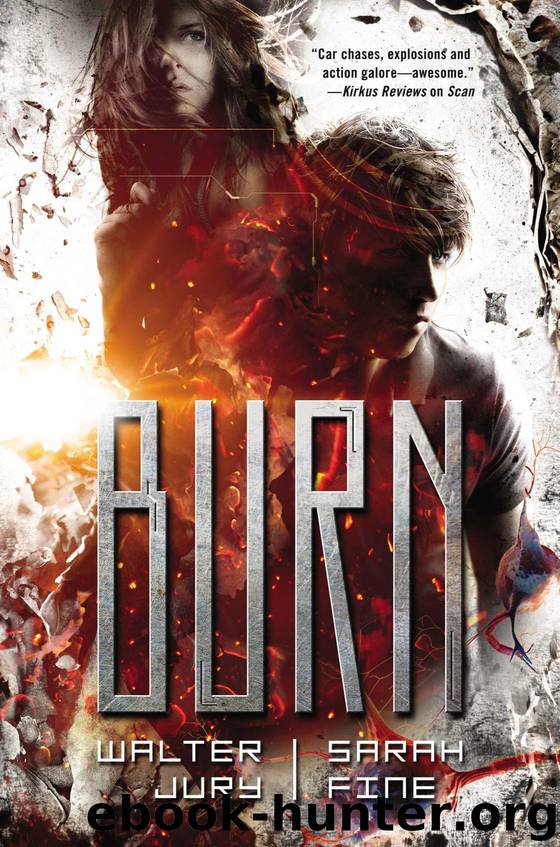 Burn by Fine Sarah & Jury Walter