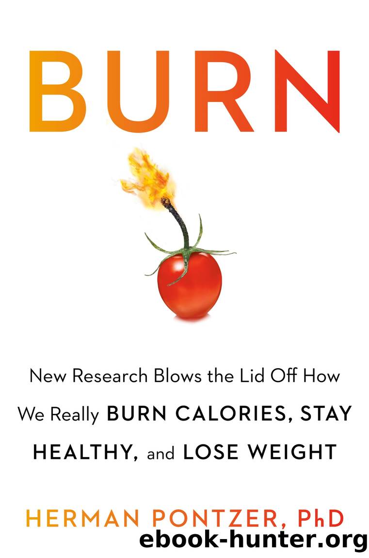 Burn by Herman Pontzer PhD