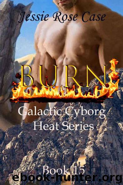 Burn by Jessie Rose Case