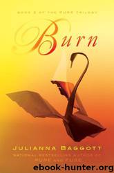 Burn by Julianna Baggott