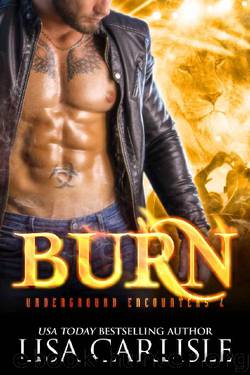 Burn by Lisa Carlisle