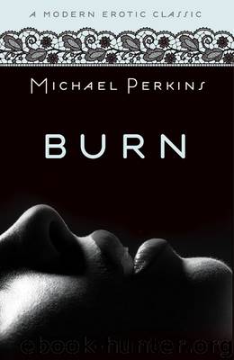 Burn by Michael Perkins