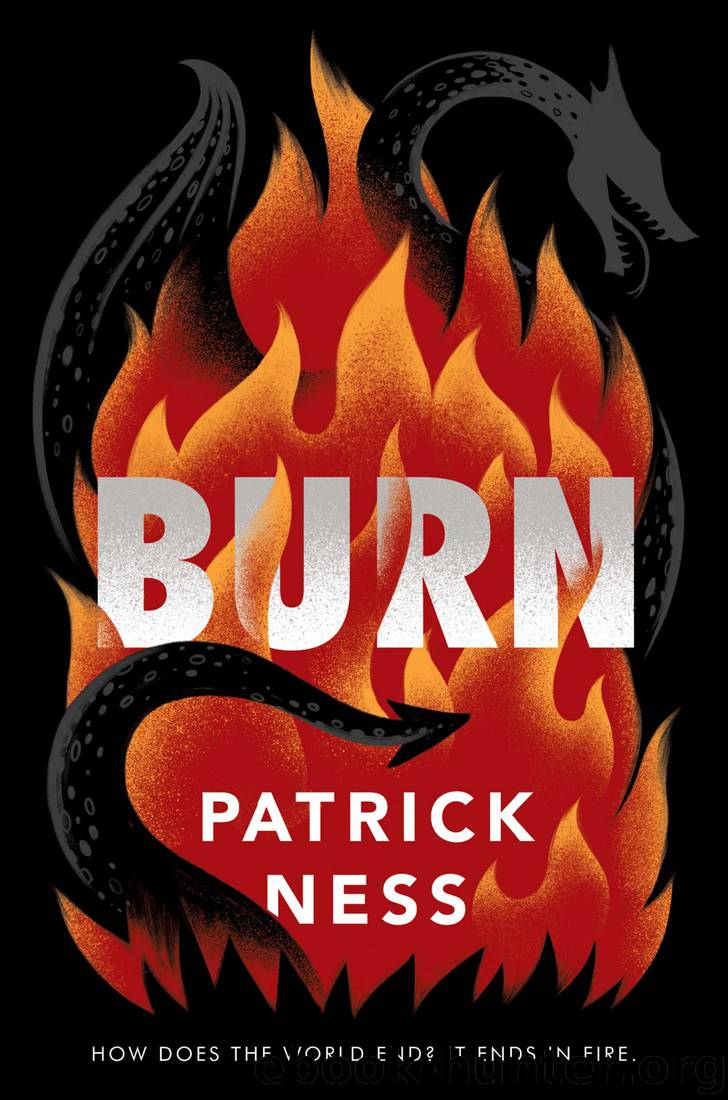 Burn by Patrick Ness