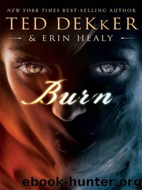 Burn by Ted Dekker & Erin Healy
