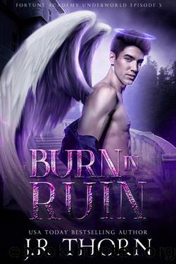Burn in Ruin (Fortune Academy Underworld Book 4) by J.R. Thorn