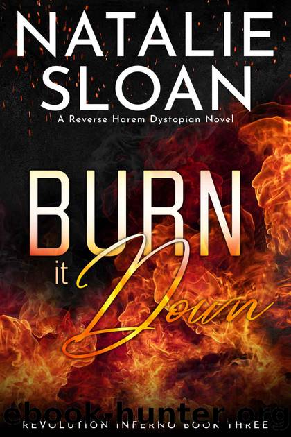 Burn it Down (Revolution Inferno Book 3) by Natalie Sloan