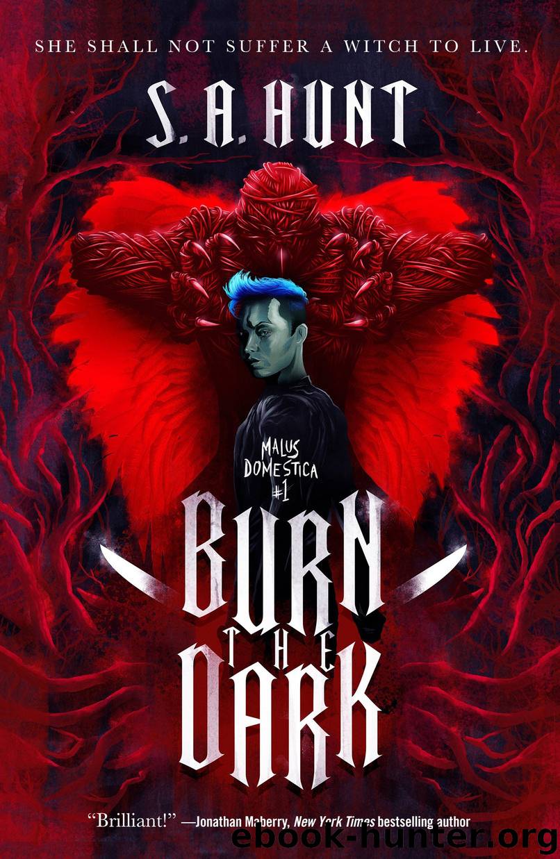 Burn the Dark by S. A. Hunt