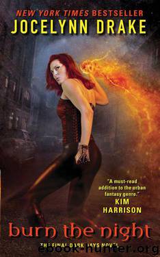 Burn the Night: The Final Dark Days Novel by Drake Jocelynn