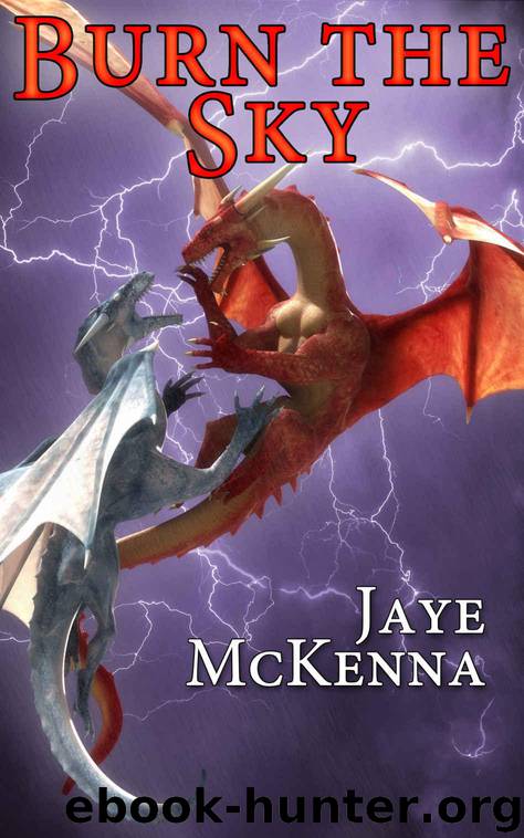 Burn the Sky by Jaye McKenna
