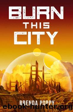 Burn this City: A Dystopian Novel by Brenda Poppy