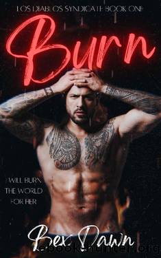 Burn: A Dark Reverse Harem Romance : Los Diablos Syndicate Book 1 by Bex Dawn