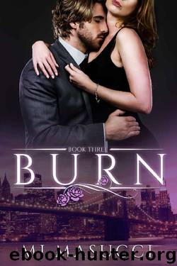 Burn: Book 3 (The Heat Series) by MJ Masucci