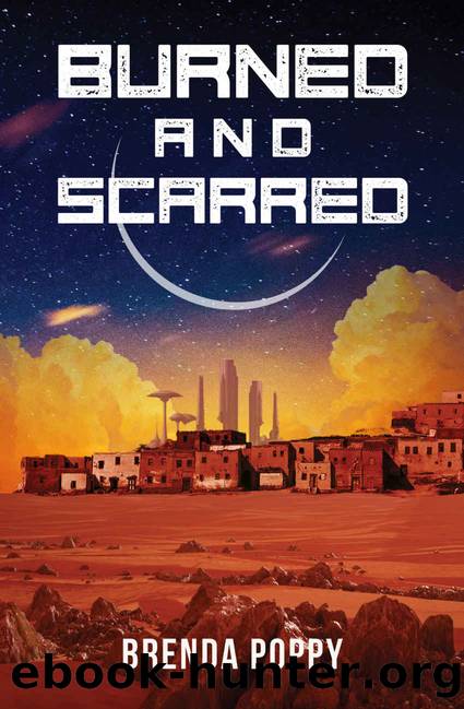 Burned and Scarred (Burn this City Book 2) by Brenda Poppy