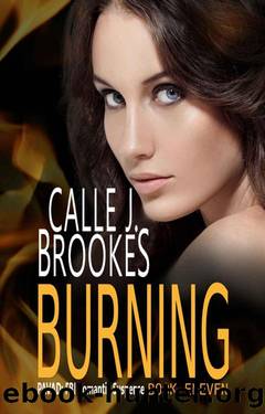 Burning (PAVAD: FBI Romantic Suspense Book 11) by Calle J. Brookes