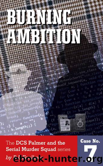 Burning Ambition by B. L. Faulkner