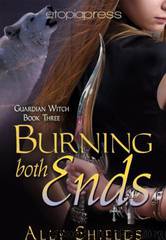 Burning Both Ends 3 by Shields Ally