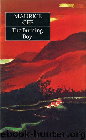 Burning Boy (Penguin Award Winning Classics), The by Gee Maurice