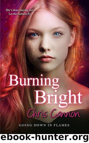 Burning Bright (Going Down in Flames) by Chris Cannon