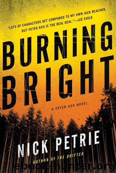 Burning Bright by Nick Petrie