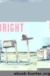 Burning Bright: Short Stories by Ron Rash