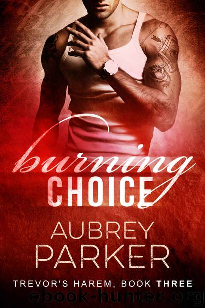 Burning Choice (Trevor's Harem #3) by Aubrey Parker