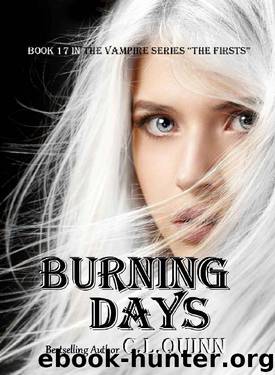 Burning Days (The Firsts Book 17) by C.L. Quinn