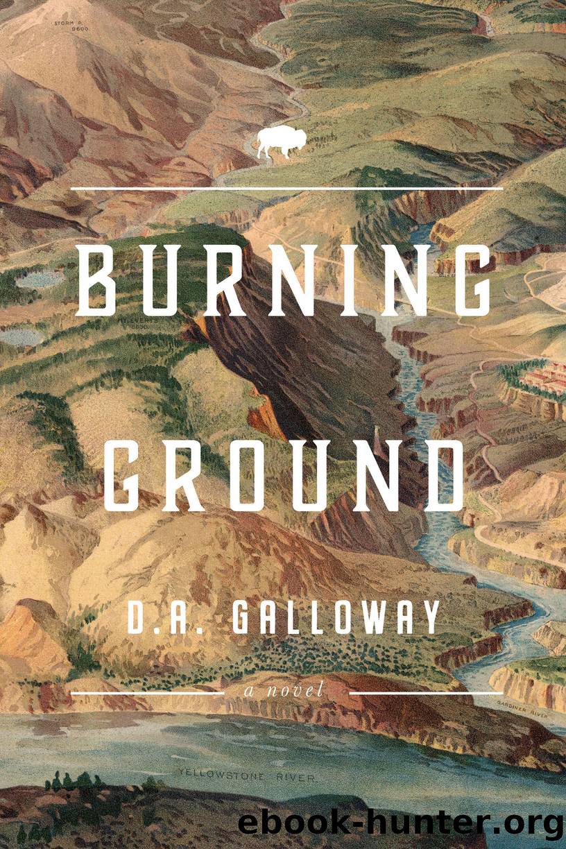 Burning Ground by D.A. Galloway
