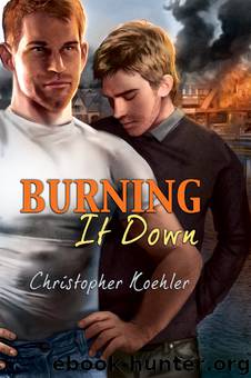 Burning It Down by Christopher Koehler