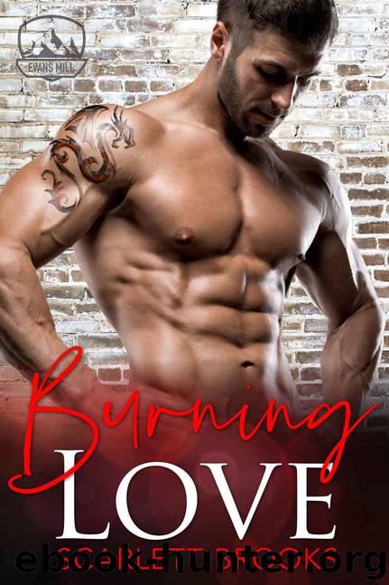 Burning Love (An Evans Mill Romance Book 3) by Brooks Scarlett