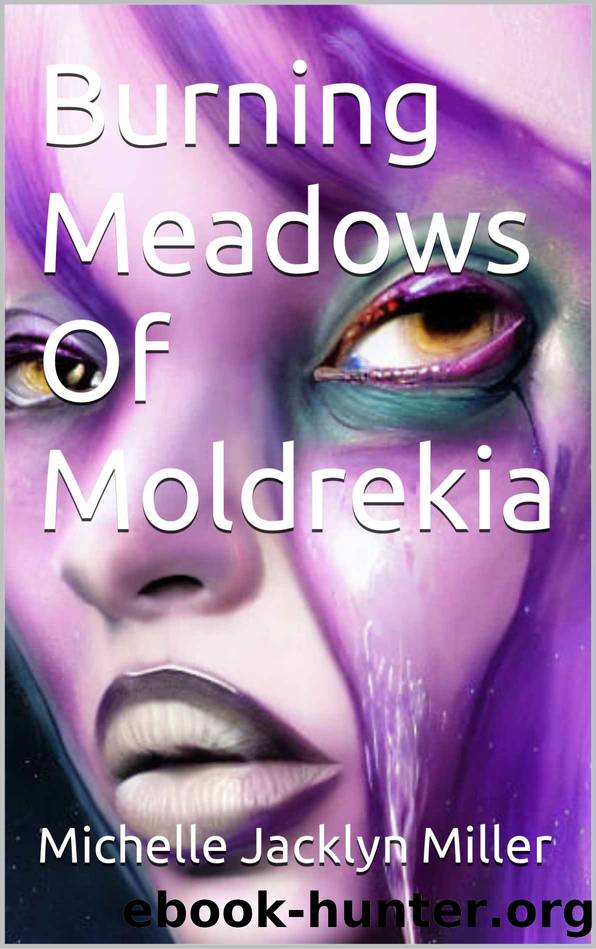 Burning Meadows Of Moldrekia by Michelle Jacklyn Miller