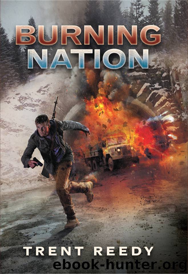 Burning Nation by Trent Reedy