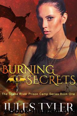 Burning Secrets (The Snake River Prison Camp Series Book 1) by Jules Tyler
