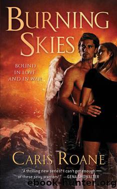 Burning Skies by Caris Roane