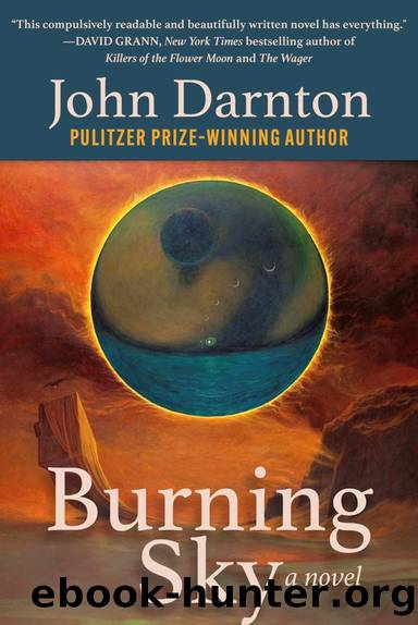 Burning Sky by John Darnton