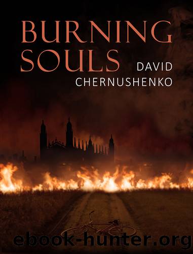 Burning Souls by David Chernushenko