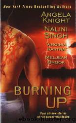 Burning Up by Angela Knight & Nalini Singh & Virginia Kantra & Meljean Brook