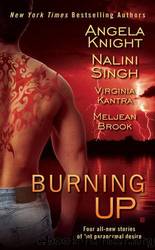 Burning Up by Angela Knight;Nalini Singh;Virginia Kantra;Meljean Brook