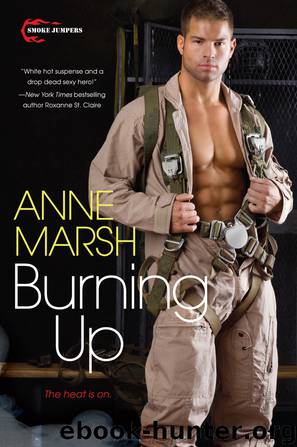 Burning Up by Anne Marsh