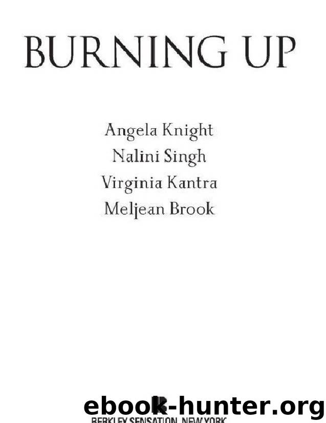 Burning Up by Knight Angela