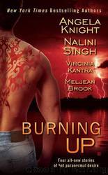 Burning Up: The Iron Seas, Book 1 by Angela Knight; Nalini Singh; Virginia Kantra; Meljean Brook