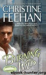 Burning Wild by Feehan Christine