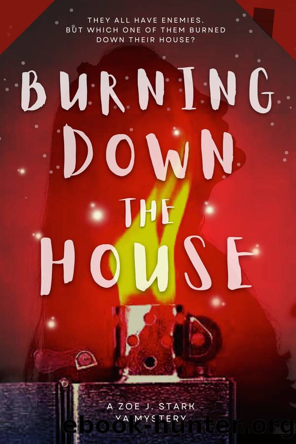 Burning down the house by Zoe J. Stark