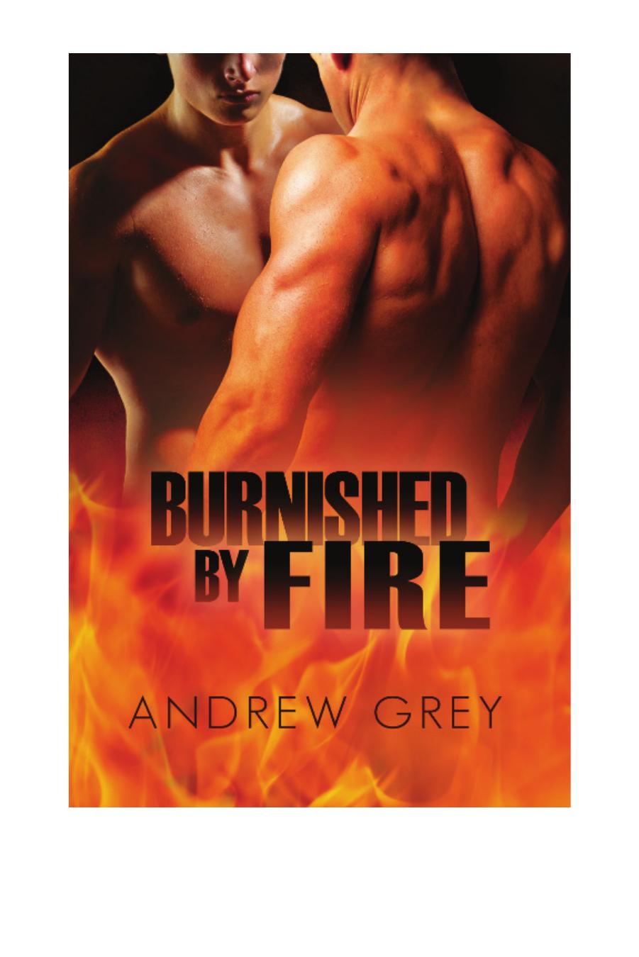 Burnished by Fire by Andrew Grey